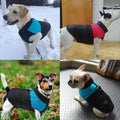 Dog Coat Vest - Zipper Design