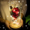 Enchanted  Rose LED Light - Forever Flower.