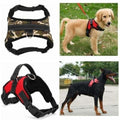 Pet Harness Collar.