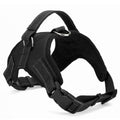 Pet Harness Collar.