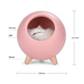 LED Cat Sleeping House