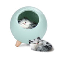 LED Cat Sleeping House