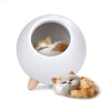 LED Cat Sleeping House